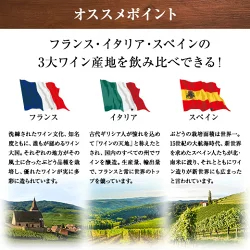 3大銘醸地入り 世界選りすぐりスパークリングワイン11本セット 第42弾 スパークリングワイン 辛口 ワインセット 【9000194】