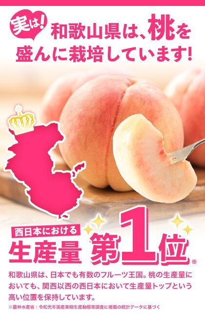 【ふるさと納税】高レビュー 和歌山県産 紀の里の桃 約2kg(6～8玉) 先行量販《2025年6月中旬-8月中旬頃出荷》桃 もも モモ 果物 フルーツ お取り寄せ 和歌山 白鳳 日川白鳳 八旗白鳳 清水白桃 川中島白桃 送料無料 9800円 和歌山県産