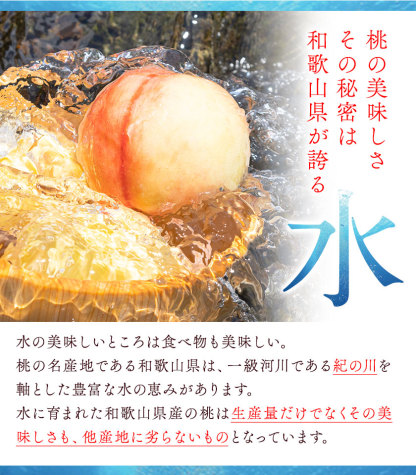 【ふるさと納税】高レビュー 和歌山県産 紀の里の桃 約2kg(6～8玉) 先行量販《2025年6月中旬-8月中旬頃出荷》桃 もも モモ 果物 フルーツ お取り寄せ 和歌山 白鳳 日川白鳳 八旗白鳳 清水白桃 川中島白桃 送料無料 9800円 和歌山県産