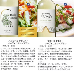 3大銘醸地入り!世界の選りすぐり赤・白・スパークリングワイン飲み比べ12本セット 第31弾 【9000197】 | 金賞 飲み比べ ワイン ワインセット ミックス wine wainn ボルドー フランス イタリア スペイン お買い得 ギフト