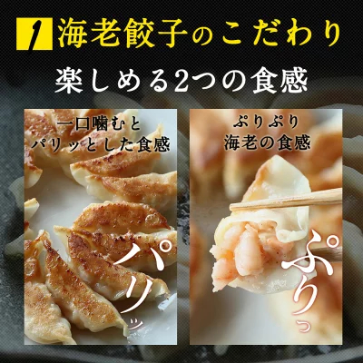 極上えび餃子60個 1.1kg ぷりぷりのぶつ切りの海老を使用！ 餃子計画 餃子 ぎょうざ ギョウザ 生餃子 えび餃子 エビ餃子 海老餃子 えび エビ 海老 冷凍餃子 冷凍生餃子 冷凍食品 業務用 大容量