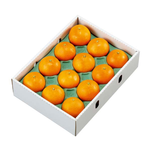 愛媛県産(JA西宇和流通センター) 紅まどんな(お届け期間：11/21〜12/31)【冬の贈りもの・お歳暮】