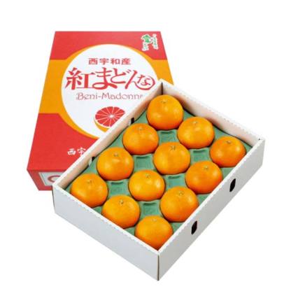 愛媛県産(JA西宇和流通センター) 紅まどんな(お届け期間：11/21〜12/31)【冬の贈りもの・お歳暮】