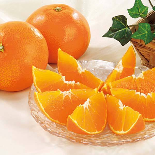 愛媛県産 紅まどんな(お届け期間：12/1〜12/31)【冬の贈りもの・お歳暮】