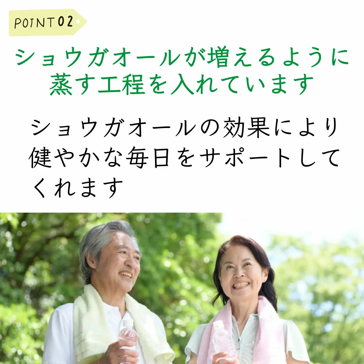 【ランキング1位受賞】 生姜パウダー 国産 味彩 しょうがパウダー 100g  粉末生姜 ジンジャーパウダー 生姜 粉末 ショウガ ジンジャー パウダー 生姜湯 無添加 飲み物 ドリンク 料理 加熱不要 ショウガオール