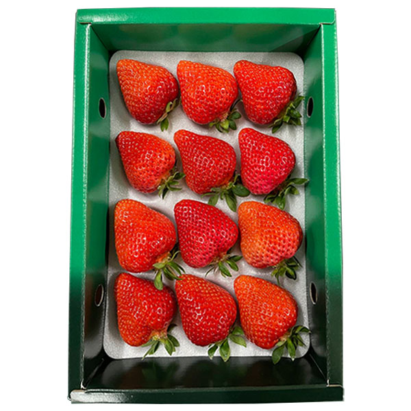 福岡県産 いちご 博多あまおう 緑化粧箱入り 400g【お届け期間：1月7日〜2月10日】【おいしいお取り寄せ】