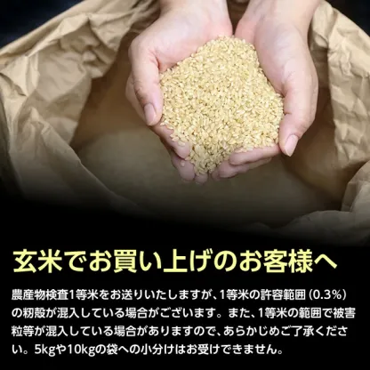 【送料無料】令和7年産山形県産はえぬき玄米30kg