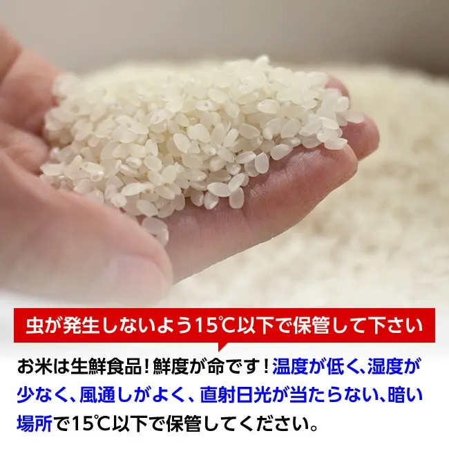 【送料無料】令和7年産山形県産はえぬき玄米30kg