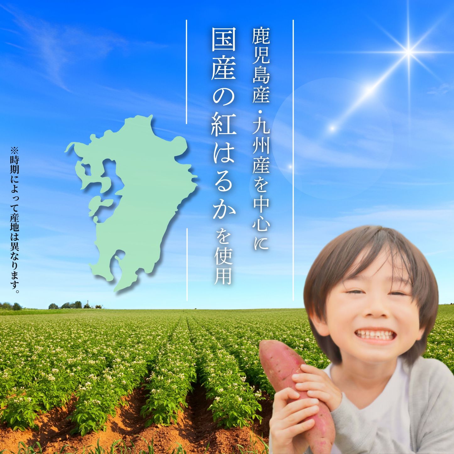 ＼ランキング3冠達成！／鹿児島県産 焼き芋 熟成 紅はるか 選べる【500g/1kg/2kg】小さめのお芋がたっぷり 無添加 蜜芋 さつまいも さつまいも 干し芋 好きに 美味しい