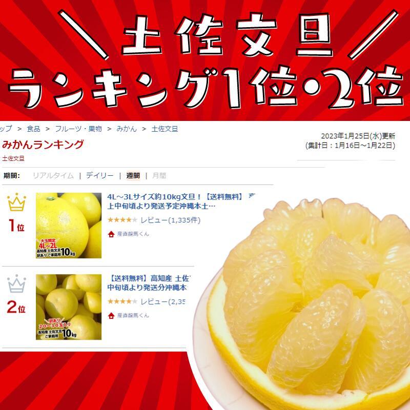 毎年大人気 土佐文旦 訳あり 4L～3Lサイズ 特大 超大玉がズッシリ 高知産 送料無料デカい旨い特大・土佐文旦10kg見た目訳あり中身は極高知の特大 土佐文旦のプリップリ果肉を堪能 家庭用 高知県 10キロ産直龍馬くん ※北海道・沖縄別途送料・離島配送不可