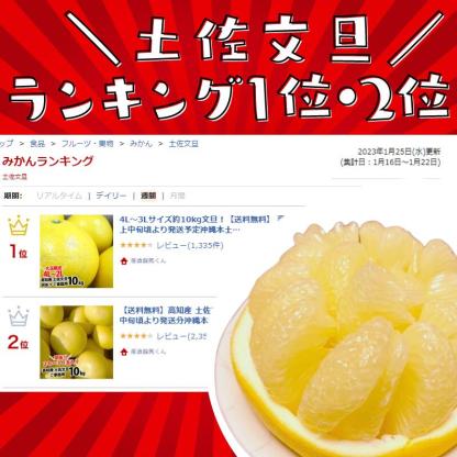 毎年大人気 土佐文旦 訳あり 4L～3Lサイズ 特大 超大玉がズッシリ 高知産 送料無料デカい旨い特大・土佐文旦10kg見た目訳あり中身は極高知の特大 土佐文旦のプリップリ果肉を堪能 家庭用 高知県 10キロ産直龍馬くん ※北海道・沖縄別途送料・離島配送不可