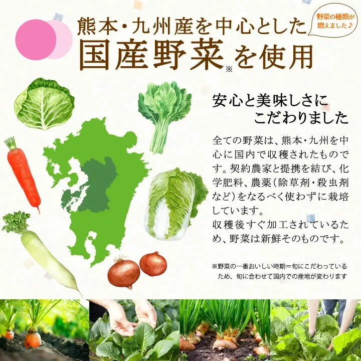 乾燥野菜ミックス 120g ≪乾燥野菜 (白菜 人参 キャベツ 大根 玉ねぎ 小松菜の贅沢6種)合計3個セット(40g×3袋)≫簡単便利♪お味噌汁の具【国産野菜使用】カップ麺 サラダ 炊き込みご飯に【保存食 非常食】吉良食品 九州老舗ホシサン