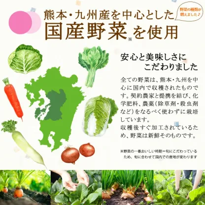 乾燥野菜ミックス 120g ≪乾燥野菜 (白菜 人参 キャベツ 大根 玉ねぎ 小松菜の贅沢6種)合計3個セット(40g×3袋)≫簡単便利♪お味噌汁の具【国産野菜使用】カップ麺 サラダ 炊き込みご飯に【保存食 非常食】吉良食品 九州老舗ホシサン