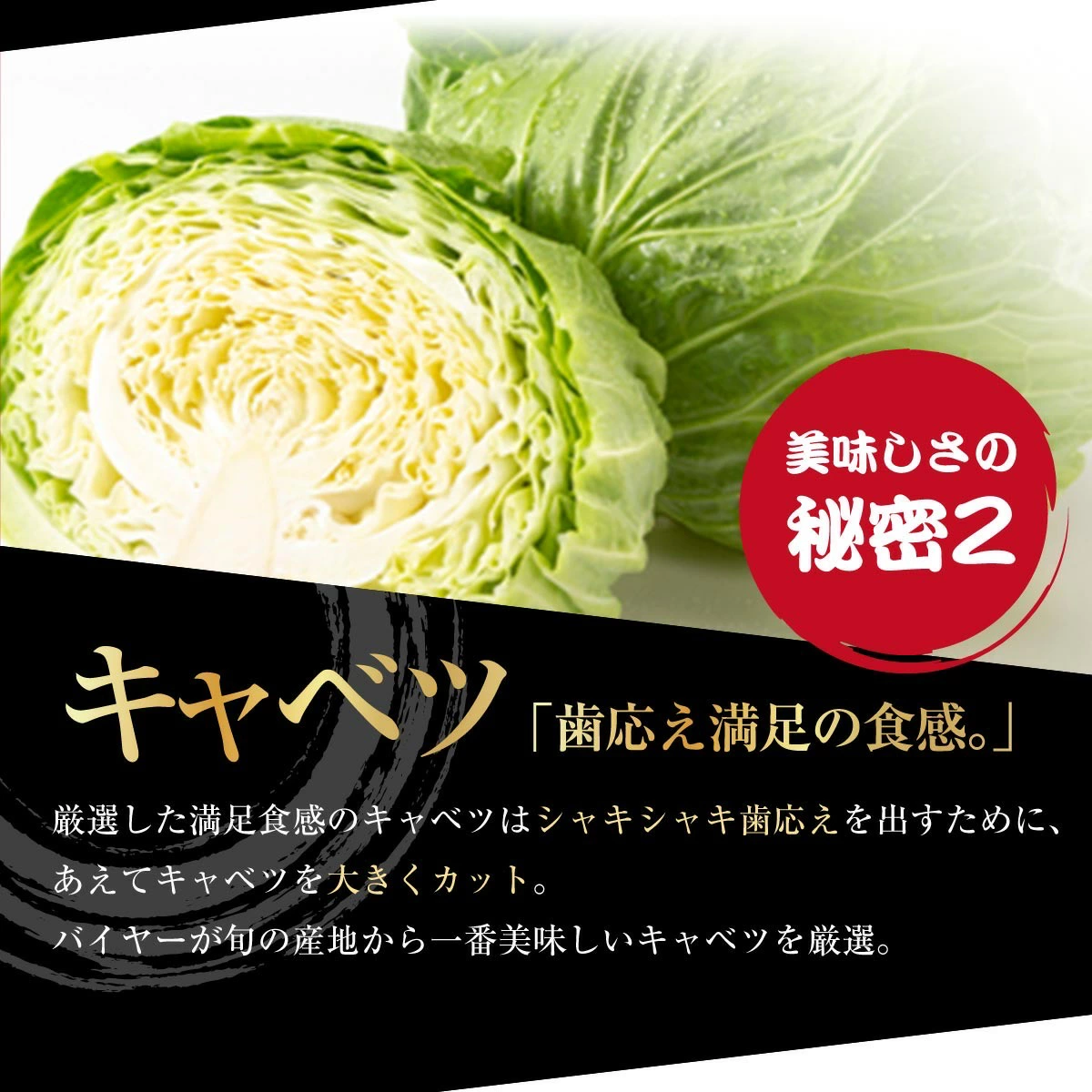 【4年連続中華総菜・点心部門グルメ大賞受賞！】餃子 送料無料 【5000万個完売】黒餃子48個本餃子48個！約96個分約16人前！