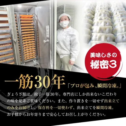 【4年連続中華総菜・点心部門グルメ大賞受賞！】餃子 送料無料 【5000万個完売】黒餃子48個本餃子48個！約96個分約16人前！