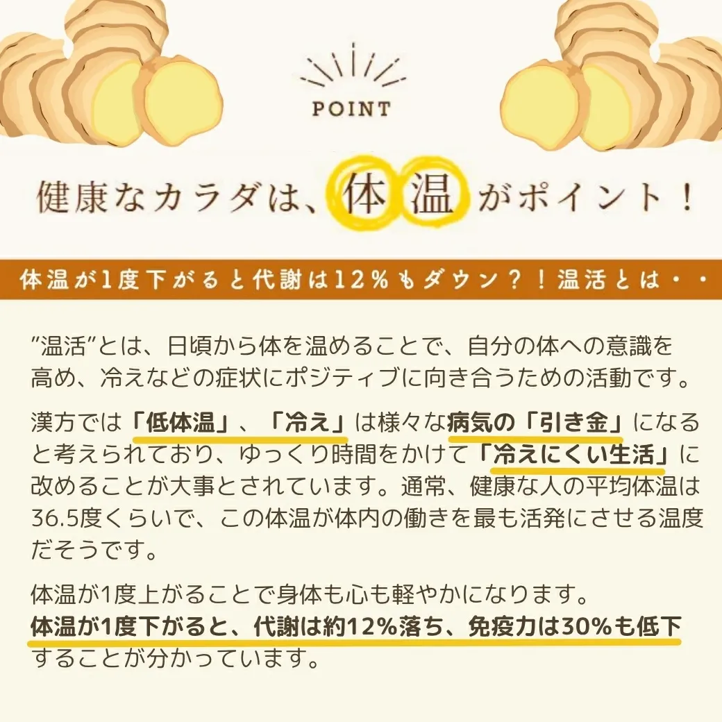 ＼高知県産 無添加 濃さ450倍／ クラフトジンジャー パウダー 75g ジンジャーパウダー 生姜パウダー 国産 生姜 乾燥生姜 粉末 生姜湯 しょうがパウダー ショウガパウダー 温活 メール便