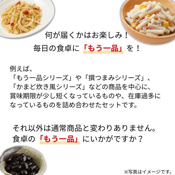 カネ吉の惣菜おまかせセット(12袋) おかず 時短