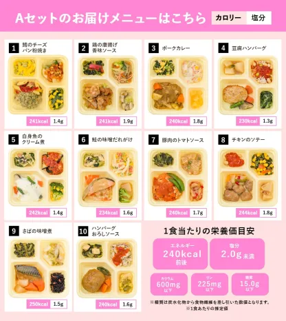 選べる カロリー・塩分調整食 10食セット 冷凍弁当 宅配弁当 宅配 弁当 食品 減塩 レンジ調理 時短 低カロリー 惣菜 カロリー 塩分 高齢者 健康 食事 詰め合わせ 制限食 食事制限 栄養食 時短調理 自宅療養 健康直球便 国内製造 健康 簡単調理 おすすめ