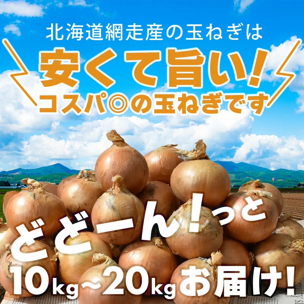 北海道 網走産 玉葱 10kg 20kg たまねぎ タマネギ カレー シチュー バーベキューやギフトに！ 国産 北海道産 網走 玉葱 玉ねぎ 産地直送 大容量 10キロ 20キロ お得用 まとめ買い 業務用 贈り物 甘い シャキシャキ 美味しい 北海道