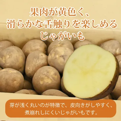北海道産 じゃがいも 黄爵(とうや) 10kg 黄色くなめらかな じゃが芋 野菜 シチュー カレー ジャガイモ 国産 北海道産 産地直送 大容量 お得用 徳用 大容量 まとめ買い 業務用 贈り物 ほくほく 美味しい