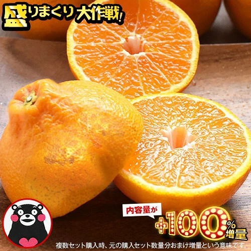 おまけ＋１００％増量 熊本県産 デコみかん 訳あり 1.5kg 送料無料 最短翌日出荷 2セット以上購入でおまけ増量 デコポン と同品種 不知火 みかん ミカン 熊本 柑橘 くまもと風土 買い回り 《1-5営業日以内に発送予定》