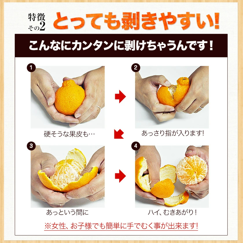 おまけ＋１００％増量 熊本県産 デコみかん 訳あり 1.5kg 送料無料 最短翌日出荷 2セット以上購入でおまけ増量 デコポン と同品種 不知火 みかん ミカン 熊本 柑橘 くまもと風土 買い回り 《1-5営業日以内に発送予定》
