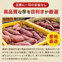 訳あり 干し芋 1000g 紅はるか ダイエット おやつ お菓子 干しいも 1kg 茨城県産 スイーツ 訳あり ほしいも ほし芋 芋 規格外品 大容量 茨城県産 国産 送料無料 無添加 自然食品 食物繊維 和菓子 さつまいも 赤ちゃん 非常食