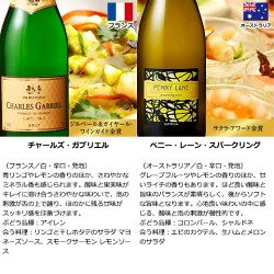 3大銘醸地入り 世界選りすぐりスパークリングワイン11本セット 第42弾 スパークリングワイン 辛口 ワインセット 【9000194】