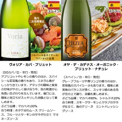 3大銘醸地入り 世界選りすぐりスパークリングワイン11本セット 第42弾 スパークリングワイン 辛口 ワインセット 【9000194】