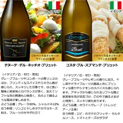 3大銘醸地入り 世界選りすぐりスパークリングワイン11本セット 第42弾 スパークリングワイン 辛口 ワインセット 【9000194】