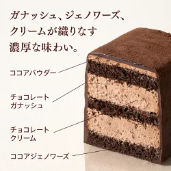 【送料込】 バレンタイン ゴディバ公式 （GODIVA） チョコレートケーキ （チョコレート お菓子 スイーツ ギフト プレゼント）