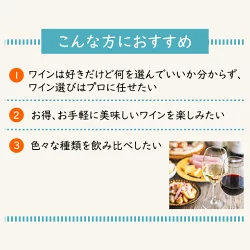 3大銘醸地入り!世界の選りすぐり赤・白・スパークリングワイン飲み比べ12本セット 第31弾 【9000197】 | 金賞 飲み比べ ワイン ワインセット ミックス wine wainn ボルドー フランス イタリア スペイン お買い得 ギフト