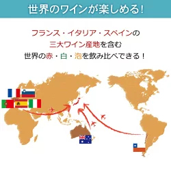 3大銘醸地入り!世界の選りすぐり赤・白・スパークリングワイン飲み比べ12本セット 第31弾 【9000197】 | 金賞 飲み比べ ワイン ワインセット ミックス wine wainn ボルドー フランス イタリア スペイン お買い得 ギフト