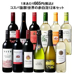 3大銘醸地入り!世界の選りすぐり赤・白・スパークリングワイン飲み比べ12本セット 第31弾 【9000197】 | 金賞 飲み比べ ワイン ワインセット ミックス wine wainn ボルドー フランス イタリア スペイン お買い得 ギフト