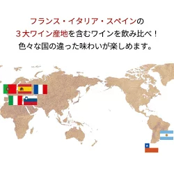 1本たったの598円(税込) 3大銘醸地入り 世界選りすぐり赤ワイン11本セット 第277弾【7784808】 | 金賞 飲み比べ ワイン ワインセット wine wainn ボルドー フランス イタリア スペイン お買い得 ギフト