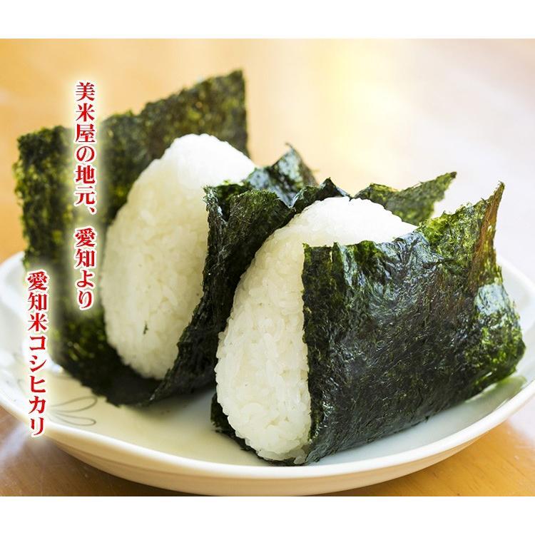 お米 10kg 白米 送料無料 コシヒカリ 5kg×2袋 愛知県産 こしひかり 令和7年産 米 あす着く 食品 北海道・沖縄は追加送料 ポイント利用