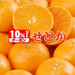 ★本日10％OFFクーポン★　極める　せとか　たっぷり3kg⇒10%OFFクーポンで3,384円★TVで話題！極める　せとか　みかん★クーポンで最安値に挑戦！極める！大人気のトロトロせとか・2箱以上注文で送料無料サービス付・福袋