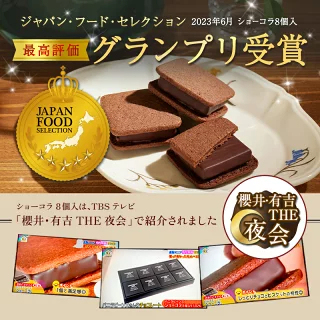 ショーコラ＆パリトロ4個入 チョコレート 横浜 バニラビーンズ | チョコサンド チョコ 洋菓子 お菓子 高級 詰め合わせ お取り寄せ バレンタインデー当日お届け可能 バレンタイン