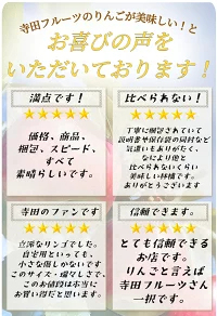 優良店舗 認定　割引ｸｰﾎﾟﾝ＋ﾎﾟｲﾝﾄ最大10倍 光センサーりんご 楽天優良 認定店 【増量】 グルメ大賞 青森県産 りんご 規格外品 サンふじ ふじ  サンつがる 規格外 訳あり 家庭用 ジュース リンゴジュース 1.5kg 2kg 3kg 5kg 10kg 2キロ 3キロ 5キロ 10キロ