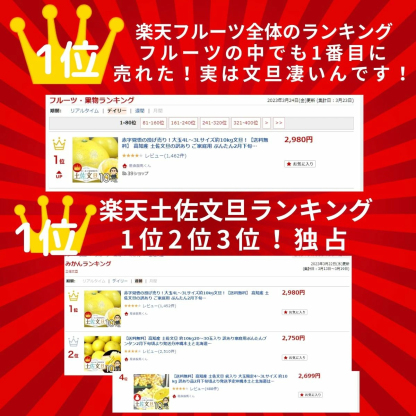 毎年大人気 土佐文旦 訳あり 4L～3Lサイズ 特大 超大玉がズッシリ 高知産 送料無料デカい旨い特大・土佐文旦10kg見た目訳あり中身は極高知の特大 土佐文旦のプリップリ果肉を堪能 家庭用 高知県 10キロ産直龍馬くん ※北海道・沖縄別途送料・離島配送不可