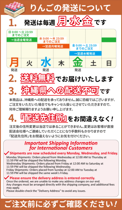 青森県産 加工用 りんご10,20kg 送料無料 激安 品種おまかせ 産地直送 訳ありりんご
