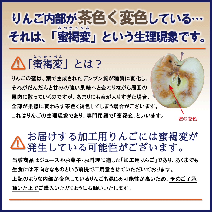 青森県産 加工用 りんご10,20kg 送料無料 激安 品種おまかせ 産地直送 訳ありりんご