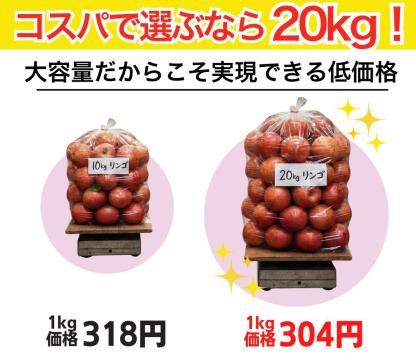 青森県産 加工用 りんご10,20kg 送料無料 激安 品種おまかせ 産地直送 訳ありりんご