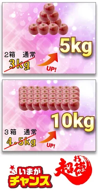優良店舗 認定　割引ｸｰﾎﾟﾝ＋ﾎﾟｲﾝﾄ最大10倍 光センサーりんご 楽天優良 認定店 【増量】 グルメ大賞 青森県産 りんご 規格外品 サンふじ ふじ  サンつがる 規格外 訳あり 家庭用 ジュース リンゴジュース 1.5kg 2kg 3kg 5kg 10kg 2キロ 3キロ 5キロ 10キロ