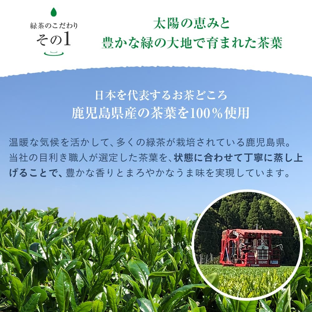 【最安値に挑戦中！】緑茶 彩茶 - あやちゃ - 500ml×24本 お茶 ラベルレス 鹿児島県産茶葉使用 送料無料※一部地域除く ペットボトル ライフドリンク カンパニー LIFEDRINK 日本茶 まとめ買い ライフドリンク
