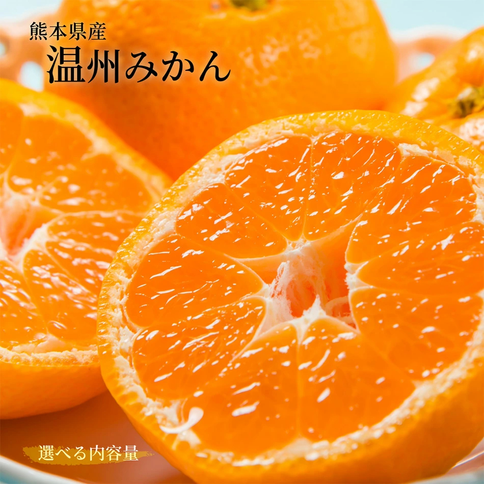 \\今季まもなく終了//【熊本県産　温州みかん　秀品　選べる内容量】　熊本県産　秀品　温州みかん　極早生みかん、早生みかん、中生みかん、晩生みかん　河内みかん　三角みかん　配達日時指定可　みかん　熊本みかん　青島みかん　尾崎