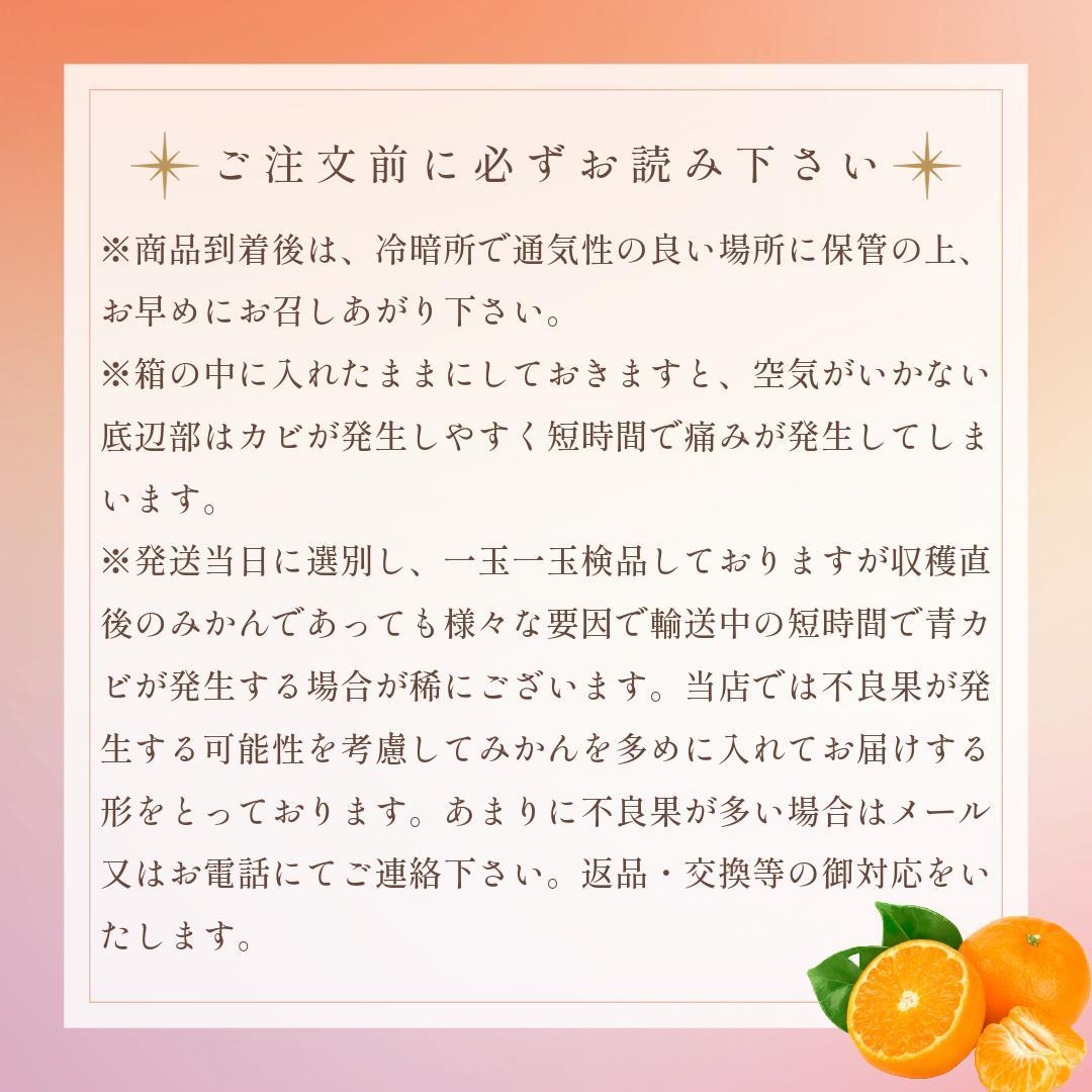 \\今季まもなく終了//【熊本県産　温州みかん　秀品　選べる内容量】　熊本県産　秀品　温州みかん　極早生みかん、早生みかん、中生みかん、晩生みかん　河内みかん　三角みかん　配達日時指定可　みかん　熊本みかん　青島みかん　尾崎