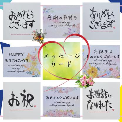 \\今季まもなく終了//【熊本県産　温州みかん　秀品　選べる内容量】　熊本県産　秀品　温州みかん　極早生みかん、早生みかん、中生みかん、晩生みかん　河内みかん　三角みかん　配達日時指定可　みかん　熊本みかん　青島みかん　尾崎