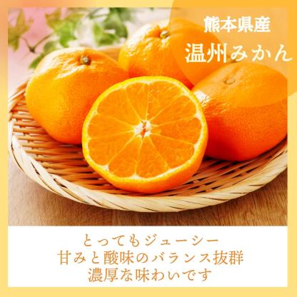 \\今季まもなく終了//【熊本県産　温州みかん　秀品　選べる内容量】　熊本県産　秀品　温州みかん　極早生みかん、早生みかん、中生みかん、晩生みかん　河内みかん　三角みかん　配達日時指定可　みかん　熊本みかん　青島みかん　尾崎
