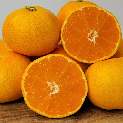 \\今季まもなく終了//【熊本県産　温州みかん　秀品　選べる内容量】　熊本県産　秀品　温州みかん　極早生みかん、早生みかん、中生みかん、晩生みかん　河内みかん　三角みかん　配達日時指定可　みかん　熊本みかん　青島みかん　尾崎